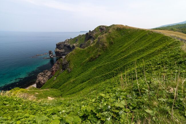 厳しい自然を感じる風景ですね