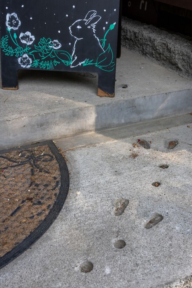 エントランスにはウサギの足跡が！<br /><br />こちらのお店は<br />ナキウサギをフィーチャーしています