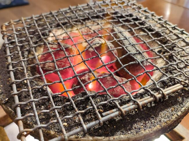 ホテルでちょっと昼寝をしてたら<br />結構遅い時間になってしまって<br />お目当てのジンギスカンのお店が終わる時間になってしまった…。<br />