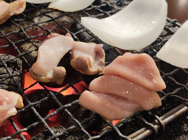 で、旭川で入った事のある塩ホルモンのお店が<br />中島公園近くにあったので<br />そこで軽く一人焼き肉を楽しみました。<br />ホルモンもサガリもセセリも美味しかったです。