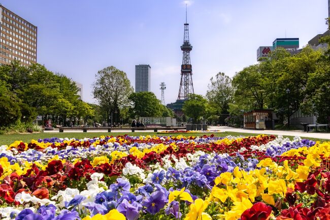 翌朝も早くから行動しました。<br />早めに朝食を済ませた後は<br />地下鉄に乗って大通公園へ。<br />大通公園の地下街で軽く迷いました(笑)<br />出口が多すぎ！<br /><br />この頃はとても良いお天気で<br />風も爽やかで北海道らしい空気感。<br />手入れのされた公園の花壇もとてもきれいです。