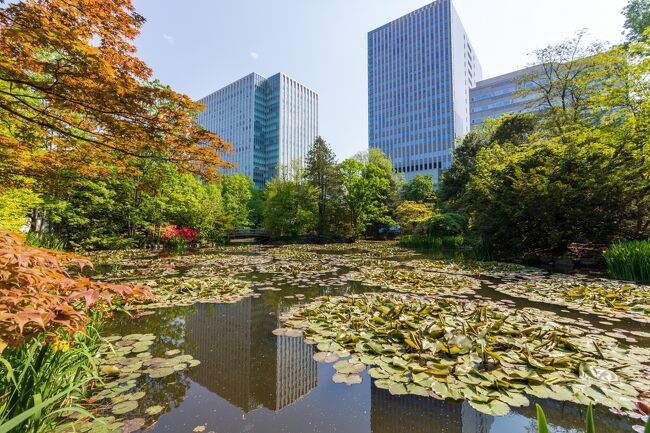 庁舎の前のお庭を散策してみました<br /><br />凄く良い雰囲気で素敵でしたよ。<br />そして風がとても気持ち良かったです。<br />都会のオアシスとはこういう事なんですね～。