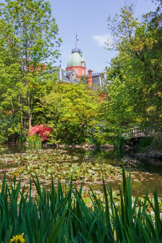 池越しに望む道庁。<br />外国の風景みたいです