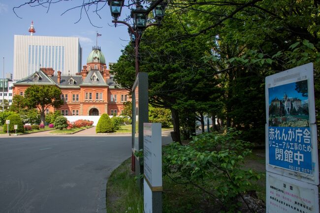 道庁まで足を伸ばしてみましたが<br />赤レンガ庁舎は工事中…