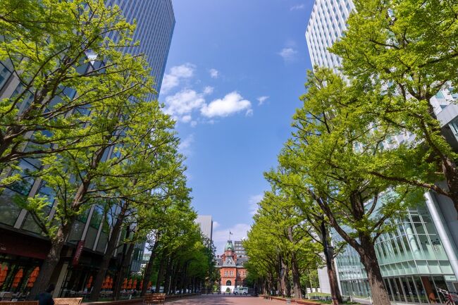 最高の青空です