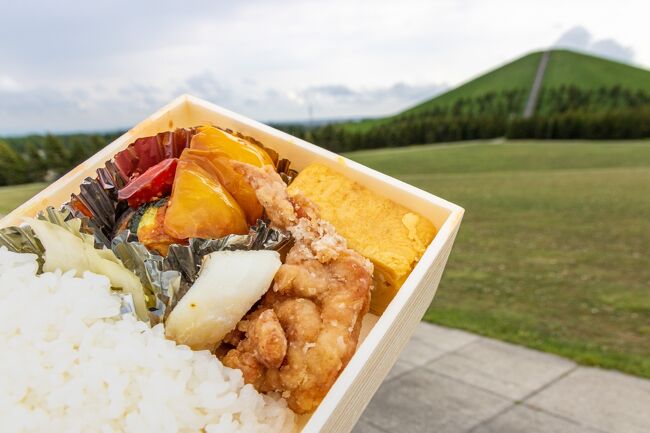 ここでモエレ山を見ながら<br />お昼を食べる事にしました。<br /><br />ガラスのピラミッド内にある売店で買った<br />日替わり弁当なんですけど<br />全く期待しないで買ったのですが<br />全て手作りでメチャメチャ美味しくてびっくり！<br />卵焼きも浅漬けも手作りでしたよ。<br />もしのピクニックをされる方がいらっしゃいましたら<br />こちらのお弁当を購入される事をお勧めします。<br />750円だったかな？