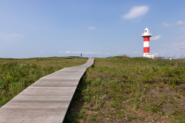 ミルクガーデンから距離はあったのですが<br />大好きな石狩浜にどうしても行きたくて<br />滞在時間はかなり短くなるのを覚悟で<br />行ってしまいました。<br /><br />隣の石狩灯台の木道もお気に入り。<br />ハマナスの季節にも行ってみたいです。