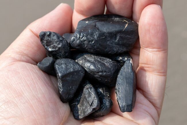 そしてこの日は大量の石炭を拾えました。<br />角の取れた石炭はとてもきれいです。<br /><br />この石炭とまん丸の木が私の私へのお土産(笑)