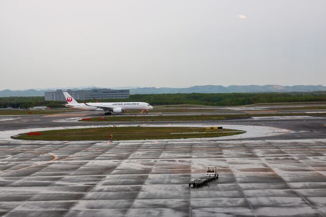 千歳のレンタカー会社まで<br />何とかギリギリ間に合いました。<br />途中で雨が降り出して<br />日暈の天気予報は当たったな～って思いました。<br />でも観光を終えてからの降雨だったのは<br />かなりラッキーでした。