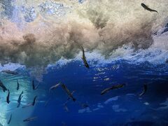 おんねゆ温泉北の大地の水族館(山の水族館)