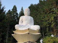 宿への移動の途中、井川駅近くの
夢の吊り橋を目指していたところ、
駐車場の近くに謎の大仏を発見。
「井川大仏」
ググってみたら、井川在住の方が
健康に感謝して建立したとのこと。