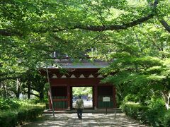 あやめ祭りの会場から５分のところにある長勝寺。

新緑と山門がとても美しい組み合わせでした。