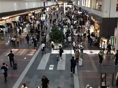GWの羽田空港
ありえないほどの混雑！！
久しぶりに見た光景
航空会社としてもありがたいですね
