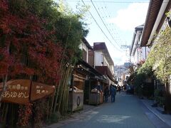 長瀞駅から川下りに行く途中、お店が沢山あります。