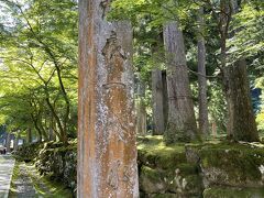 天気が張れて、新緑の季節ですが、冬の雪深い季節はどんな雰囲気なのかも興味があります。