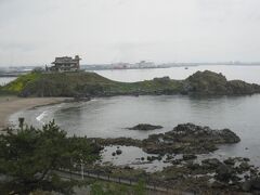 車窓の風景①

蕪島。
ウミネコが沢山飛んでいました。