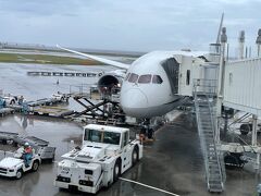 雨の那覇空港に到着。
18：00着NH477便から19:25発の1781便に乗り換えるので、1時間25分の待ち時間がありはずでしたが、実際は那覇到着が30分遅れたので、ほとんど余裕時間なかったです。