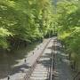 夫婦2人で日帰り春の京都（鞍馬寺・貴船神社・妙満寺・実相院・岩倉具視幽棲旧宅）