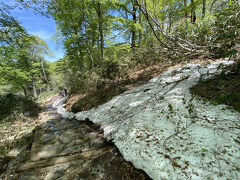 残雪で歩道が狭くなっている場所です。
尾瀬は右側通行だそうです。