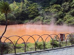 血の池地獄というように、真っ赤な温泉。

「赤温泉」と豊後風土記に記された、日本最古の天然地獄だそうです。