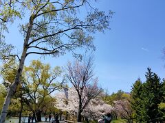 中島公園を散策