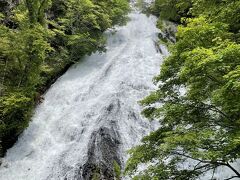 こちらは日光三名瀑のひとつ湯滝☆

赤沼からハイキングで1時間半かかるところ、お天気を言い訳に車でびゅーんっとショートカットしちゃった(^_^*)