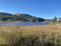 白樺湖も秋の景色