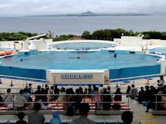10:30からの、イルカのオキちゃん劇場を20分程度見学しました。
正面に伊江島を望めるレイアウトでした。
