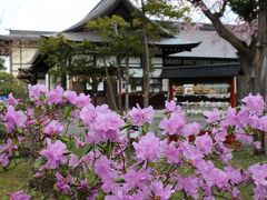 そして、そろそろ地元の桜も咲く頃かなと思い、4月29日、旭川市内の北海道護国神社を訪れました。