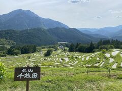 「丸山千枚田」へ