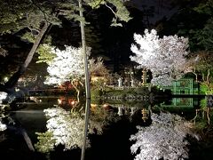 そして、無料開放の兼六園へ。
水面にうつる夜桜が素敵です。