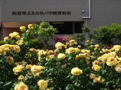 というわけで、薔薇で売出し中の佐倉市内
「学童農園　草ぶえの丘」に来ました。
コミュニティバスが2時間に1本程度。不便。佐倉駅から徒歩だと1時間近くかかる。