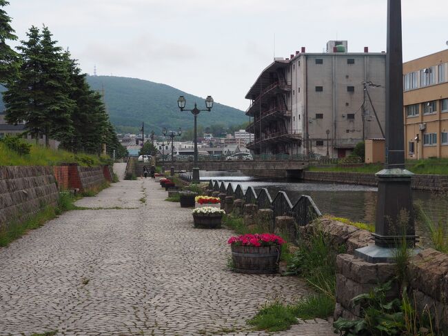 北運河沿いを歩きます。