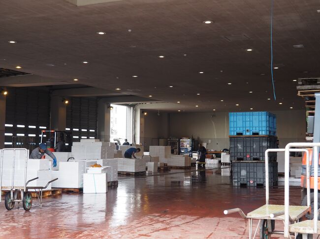 部外者立入禁止。ホッケや水ダコが荷卸しされていました。