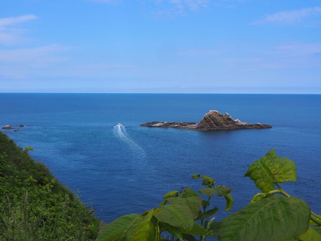沖合のトド岩<br />野生のトドの生息地だそうです。