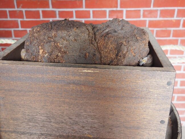 ピート（泥炭）が展示してあります。スモーキーな香り、大好きです。