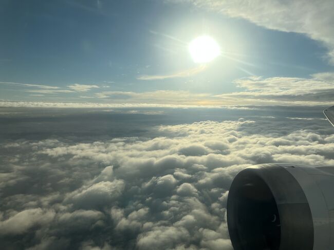 ANA74便 羽田行き