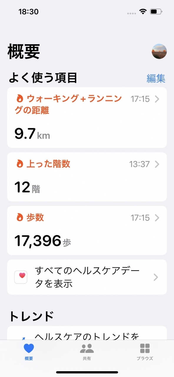 ２日目も17,396歩と、かなり歩きました。