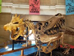 こっちはもっと久しぶり過ぎる国立科学博物館。ポケモン目当てじゃないよ。