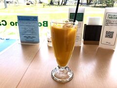 ４月の終わりというのにとにかく暑くてパラボラチョカフェに避難。
マンゴージュース（770円）が冷たくて美味しかったです。