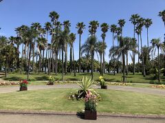 青島から駐車場へ戻る途中に「宮交ボタニックガーデン青島」があったので寄ってみました。

南国らしいヤシの木のある景色