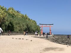 せっかくなので、青島神社にも参拝しました。