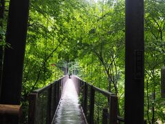遊歩道の急な階段を下って行くと目の前に回顧の吊り橋が現れます。
帯川沿いの遊歩道に掛る吊り橋ですが、回顧の滝の展望台に続く吊り橋です。

