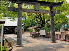 川沿いを歩いて諫早公園に向かいます。途中に諫早神社。