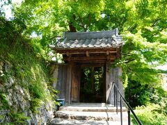 ここ、善福寺は

春は桜、秋は紅葉が有名ですが

新緑の善福寺もとてもキレイ☆

小さな門から　お邪魔します