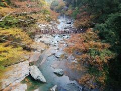 かずら橋へ到着。結構、渡ってますね。