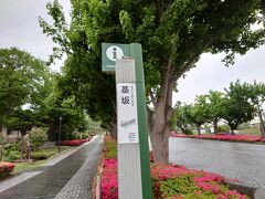 雨が降る中、電停で末広町で降りて、雨が降る中旧イギリス領事館を目指します。
途中に基坂がありました。