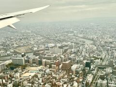 大阪国際空港 (伊丹空港)