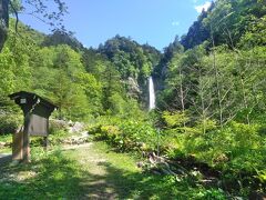 平湯大滝に到着！！
そういえば、自然探勝路を入ってからかもしか橋を越えるまで人っ子ひとり出くわさず、完全な貸切状態でした( ´艸｀)
なんて贅沢な山独り占め！笑