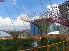 このツリーには「OCBCスカイウェイ」と呼ばれる吊り橋が架けられており、5S$で入場出来るので登ってみました。
それにしても暑いです、シンガポール。北緯1.37度、ほとんど赤道直下ですからね(汗)